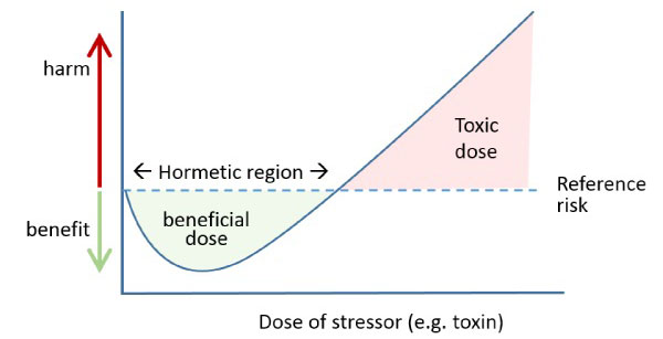 Hormesis curve