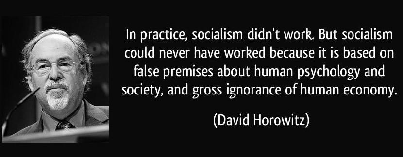 Horowitz on economic ignorance